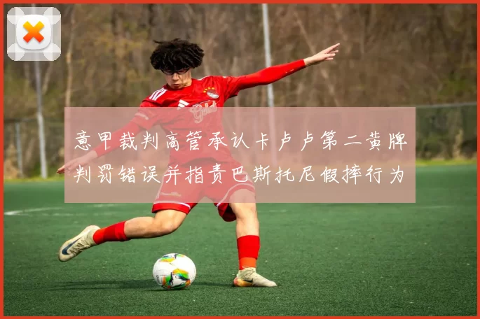 意甲裁判高管承认卡卢卢第二黄牌判罚错误并指责巴斯托尼假摔行为