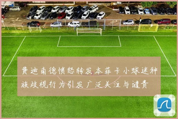 费迪南德愤怒转发本菲卡小球迷种族歧视行为引发广泛关注与谴责